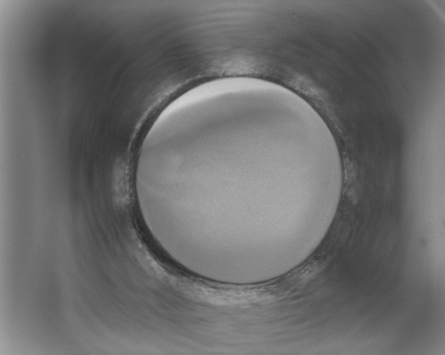 X0000066540012200604141917