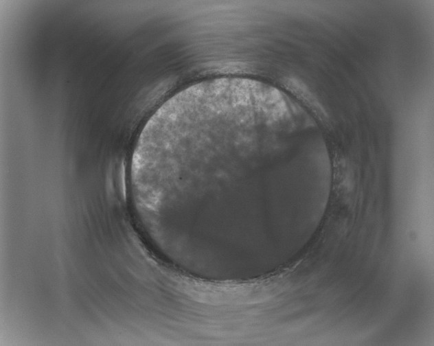 X0000066540014200604141917