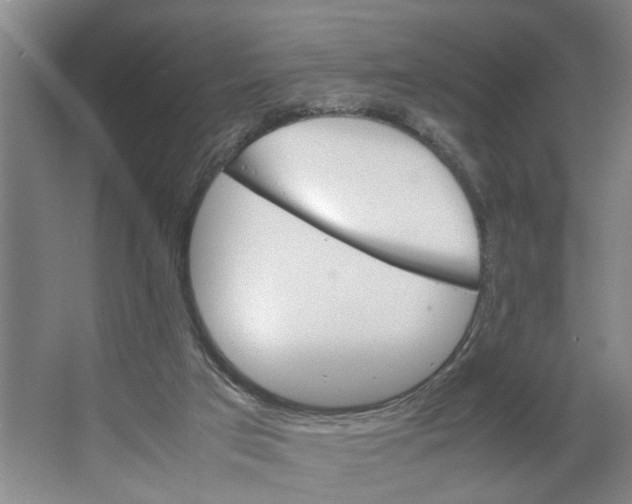 X0000066540017200604141917
