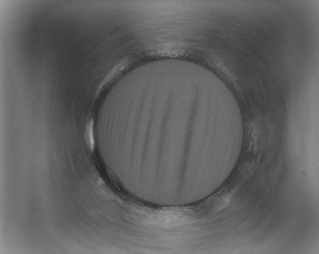 X0000066540020200604141917