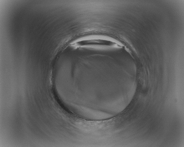 X0000066540023200604141917
