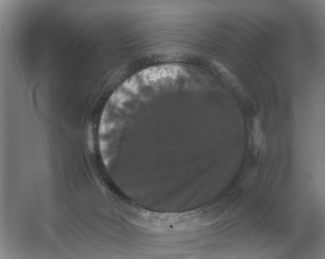X0000066540026200604141917