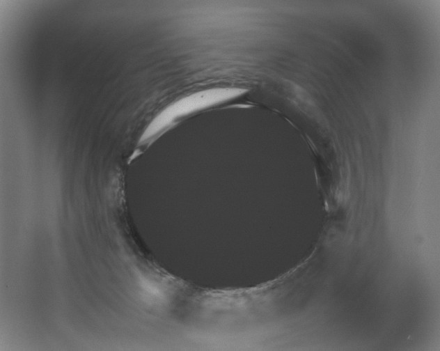 X0000066540029200604141917