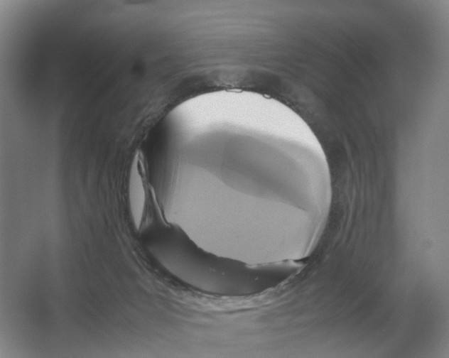 X0000066540031200604141917