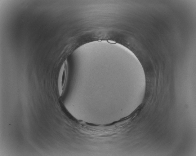 X0000066540035200604141917