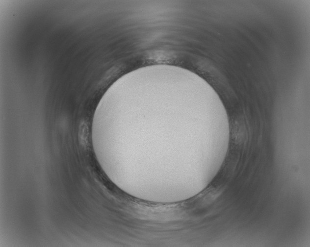 X0000066540036200604141917