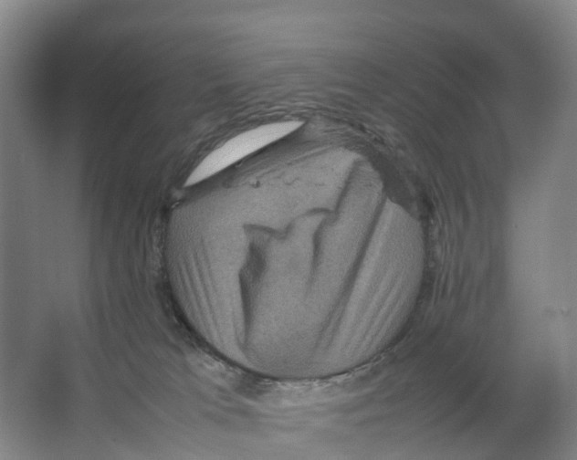 X0000066540037200604141917