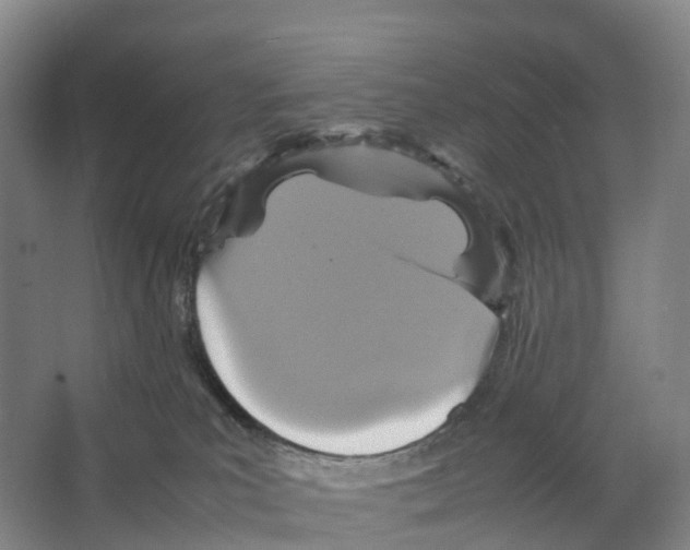 X0000066540039200604141917