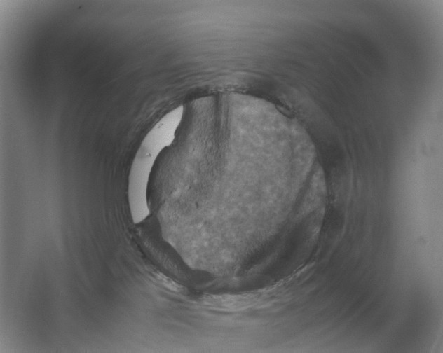X0000066540041200604141917