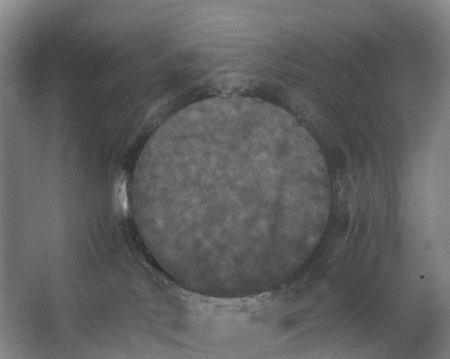X0000066540042200604141917