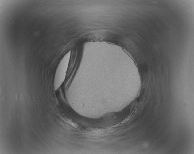 X0000066540045200604141917