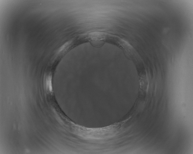 X0000066540046200604141917