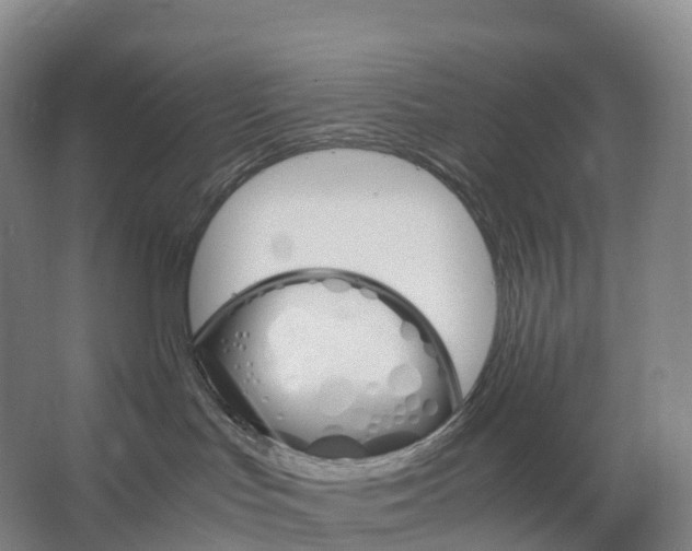 X0000066540047200604141917