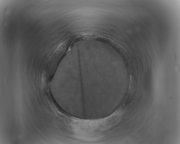 X0000066540048200604141917