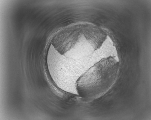 X0000066540049200604141916