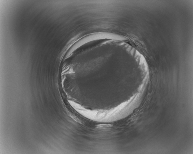 X0000066540051200604141916