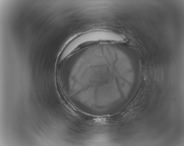 X0000066540052200604141916