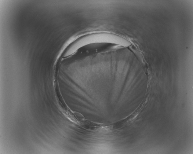 X0000066540056200604141916