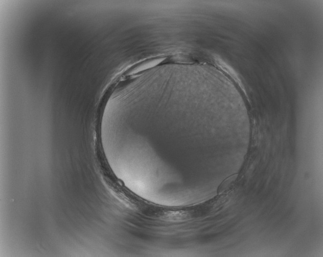 X0000066540059200604141916