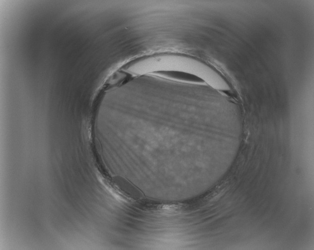 X0000066540060200604141916