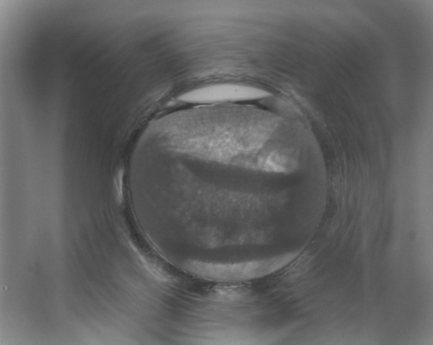 X0000066540070200604141916