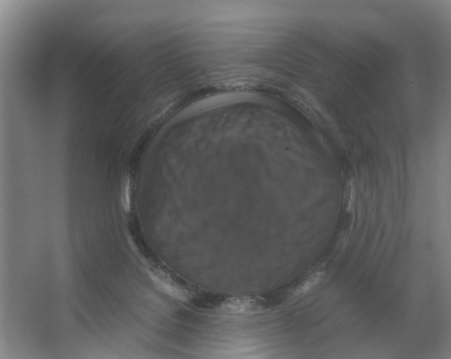 X0000066540076200604141916
