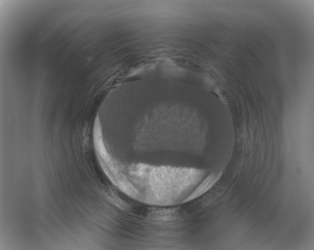 X0000066540081200604141916