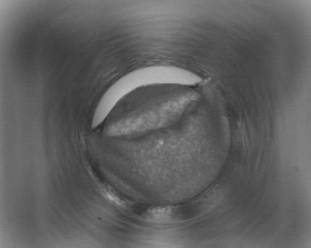 X0000066540084200604141916