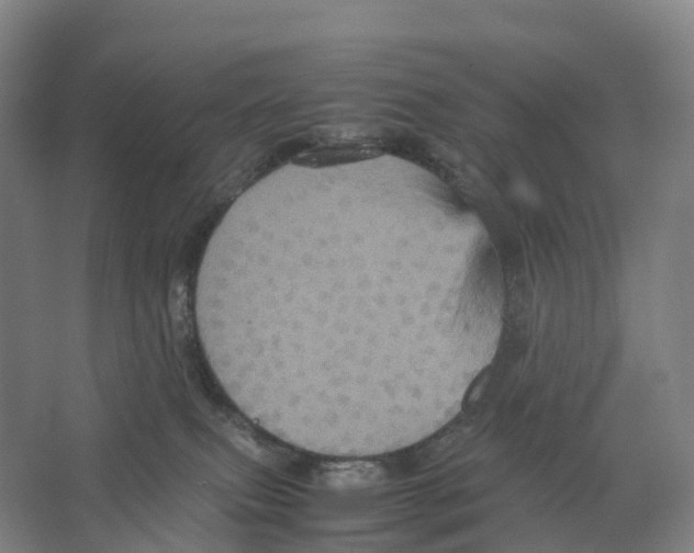X0000066540087200604141916