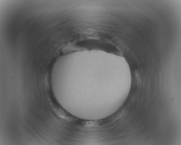 X0000066540088200604141916