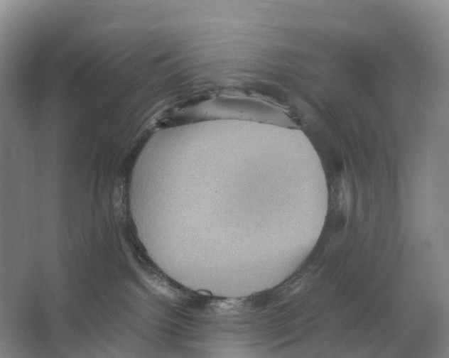 X0000066540092200604141916