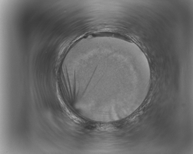 X0000066540097200604141916