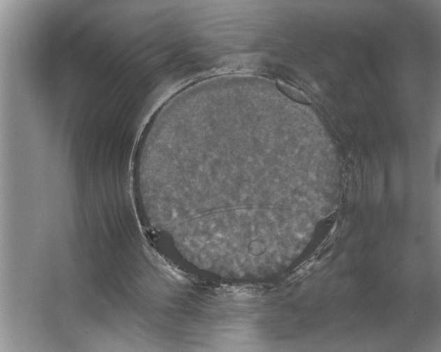 X0000066540100200604141916