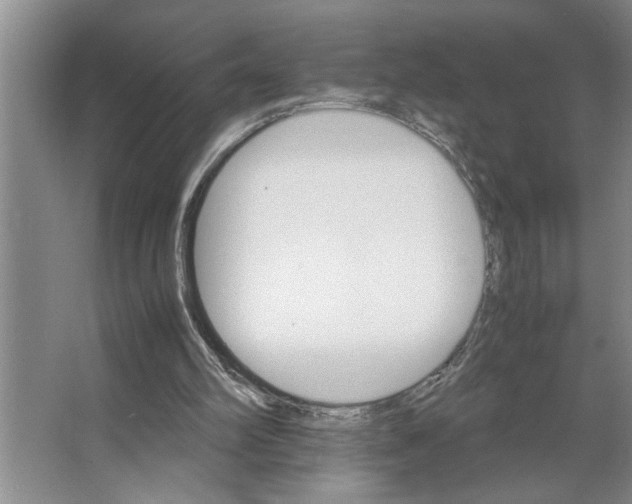 X0000066540102200604141916