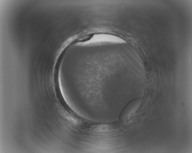 X0000066540104200604141916