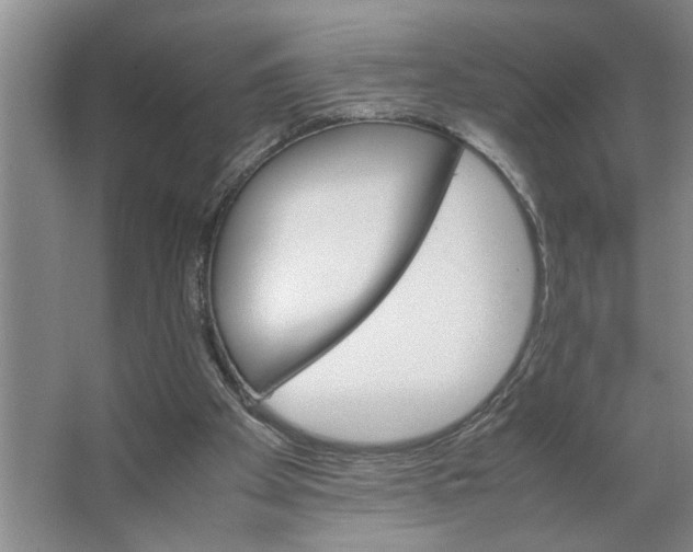 X0000066540105200604141916