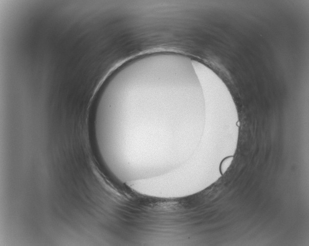 X0000066540108200604141916