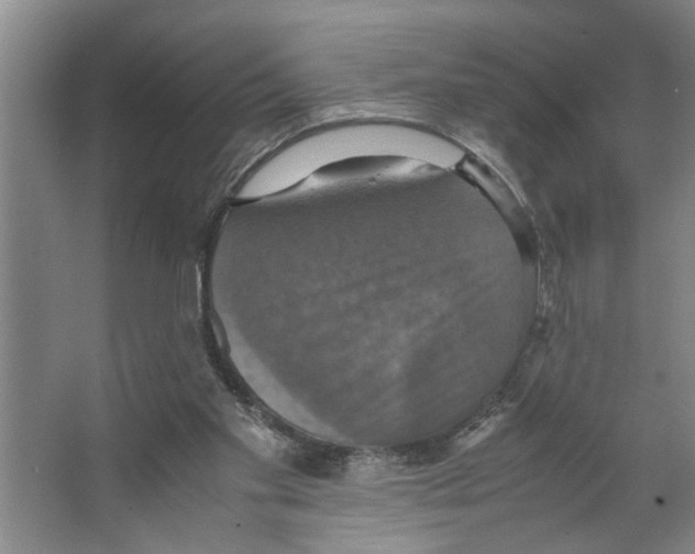 X0000066540109200604141916