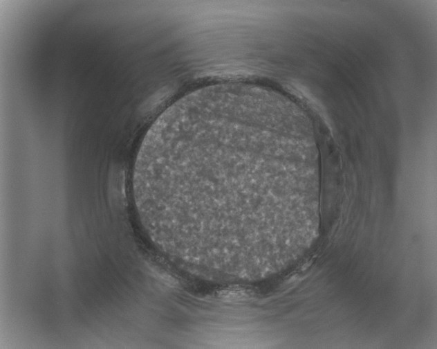 X0000066540115200604141915