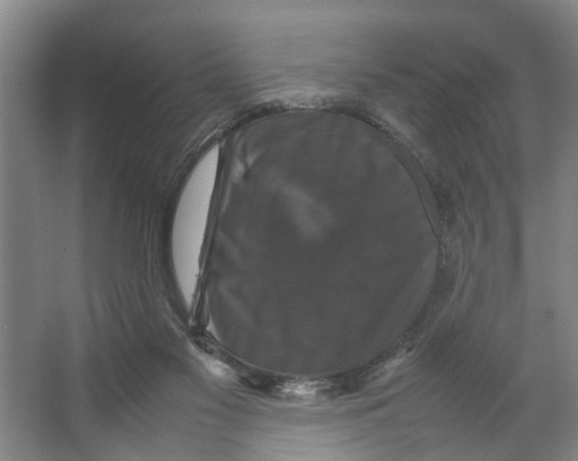 X0000066540117200604141915