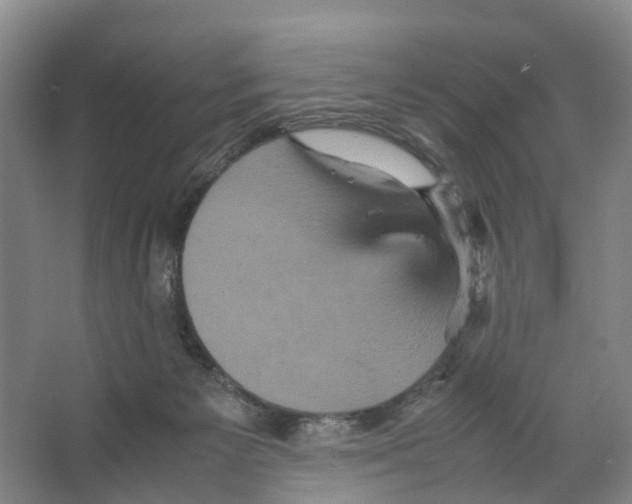 X0000066540125200604141915
