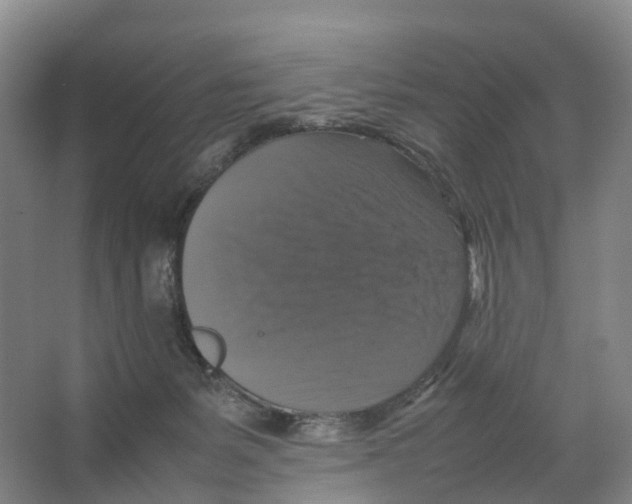 X0000066540127200604141915
