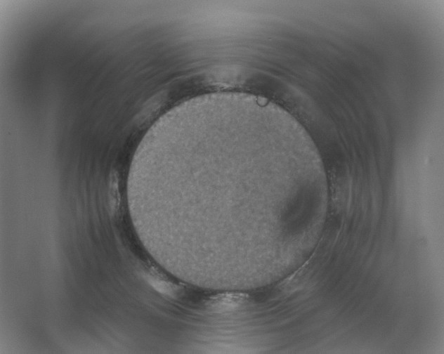 X0000066540128200604141915