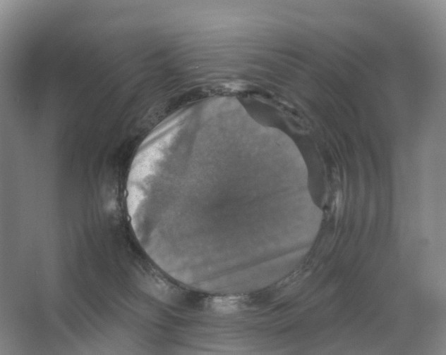 X0000066540134200604141915