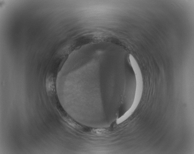 X0000066540137200604141915