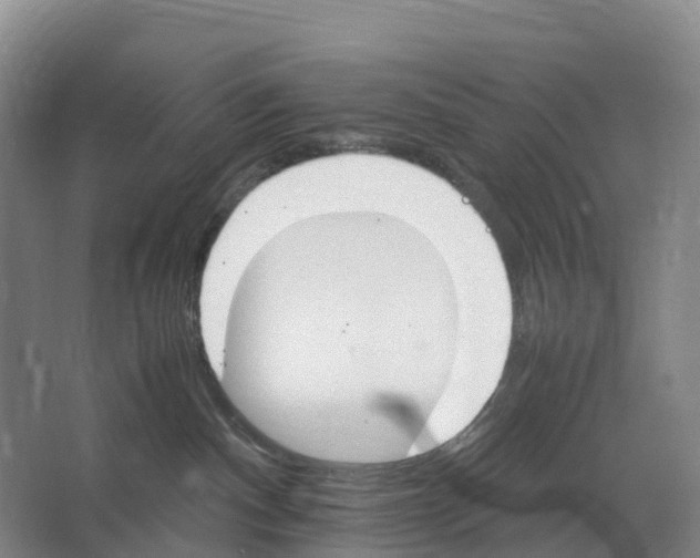 X0000066540140200604141915