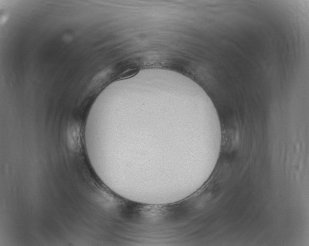 X0000066540142200604141915