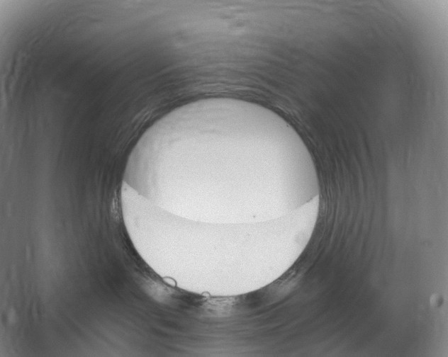 X0000066540143200604141915