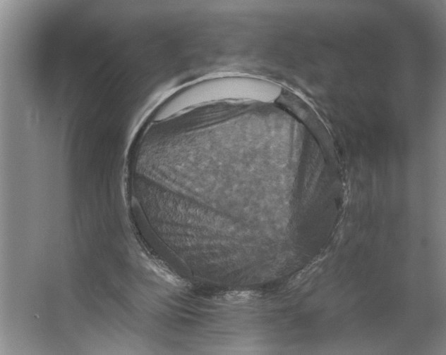 X0000066540152200604141914