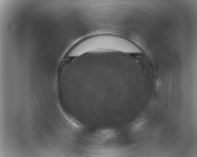 X0000066540156200604141914